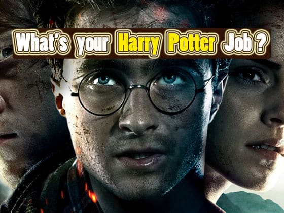 what-job-would-you-have-in-the-harry-potter-world