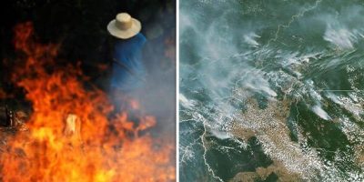 The lungs of the world are burning, since the Amazon rainforest is under wildfires for three weeks now. The lungs of the world are burning, since the Amazon rainforest is under wildfires for three weeks now.