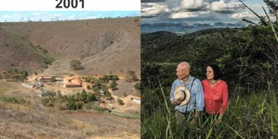 Couple replanted a whole land that suffered from deforestation and now it looks like a tropical paradise. Couple replanted a whole land that suffered from deforestation and now it looks like a tropical paradise.