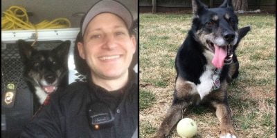 Woman saves dog from being euthanized to get repaid from the dog later. Woman saves dog from being euthanized to get repaid from the dog later.